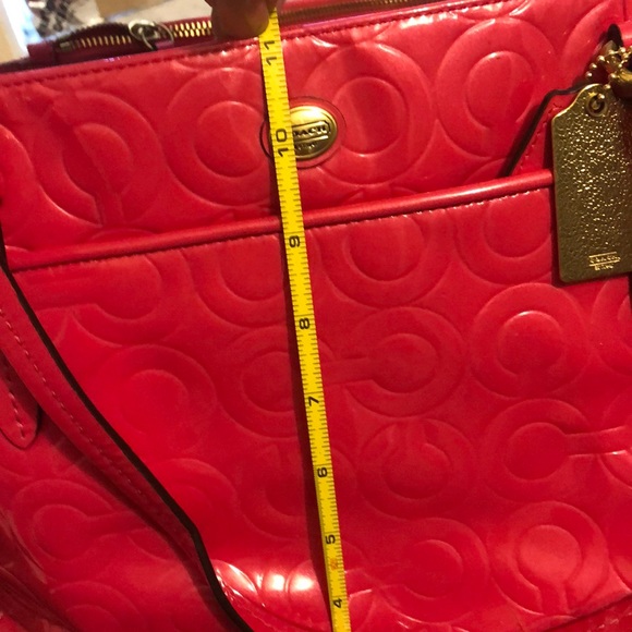 Diaper bag/purse